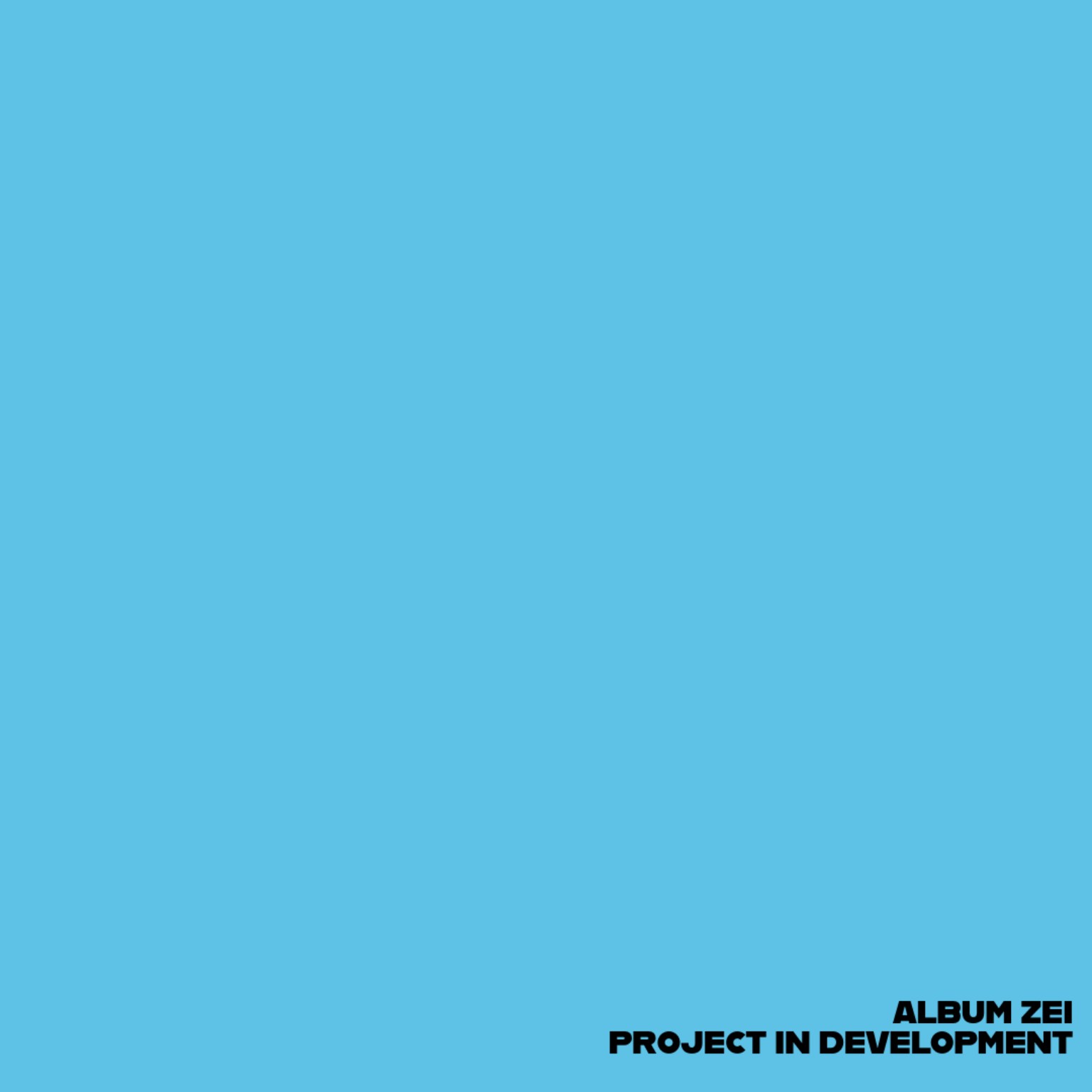 ALBUM ZEI — Project in Development artwork